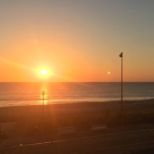 Meet your Posher, Nakia